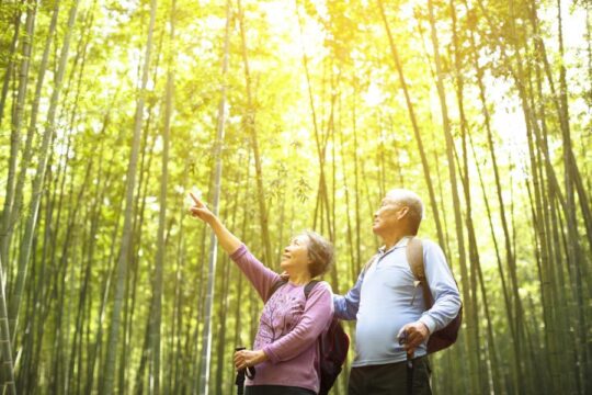 couple standing in the forest