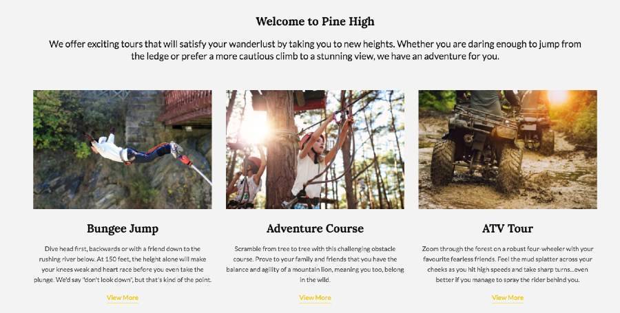 Engaging copy example for zipline tours and travels websites