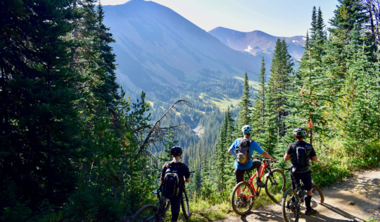 Three bikers on a trail looking down onto a valley