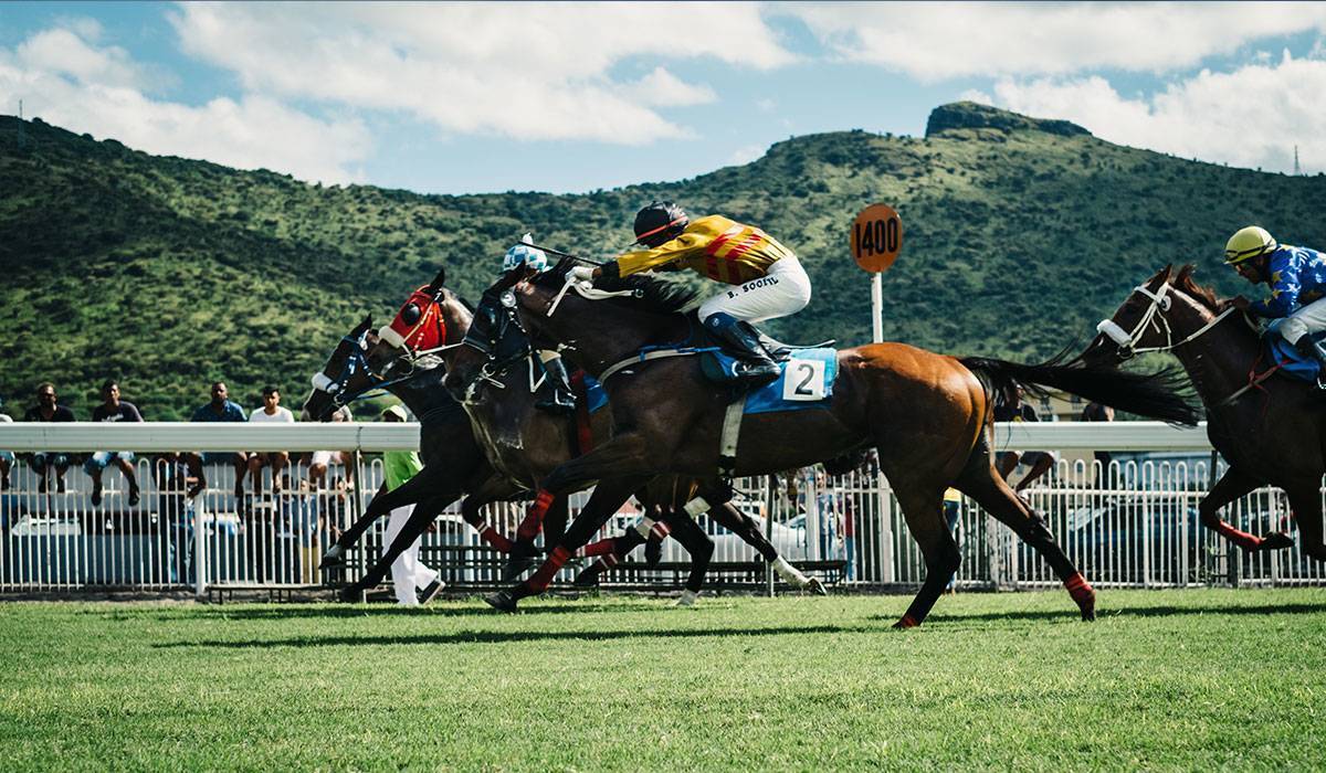 Horses racing on a grass track