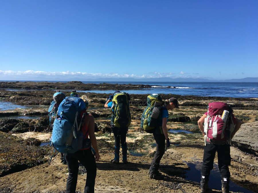 Group of backpackers exploring the West Coast Trail with Get Outside Adventures.