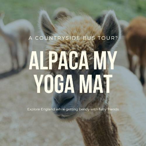 Example of Travel Deal Tuesday Tour packages with Alpaca My Yoga Mat