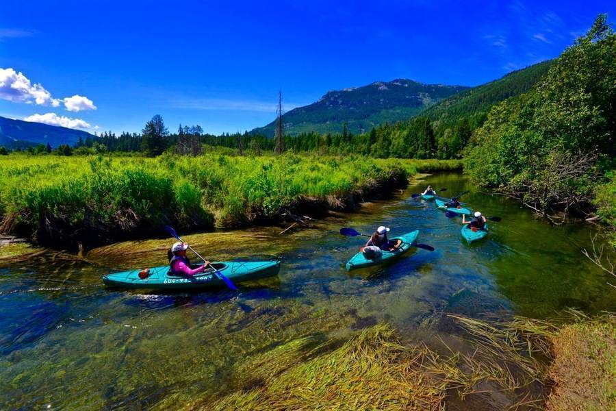 Guests of Whistler Eco Tours doing kayak tour down a narrow creek